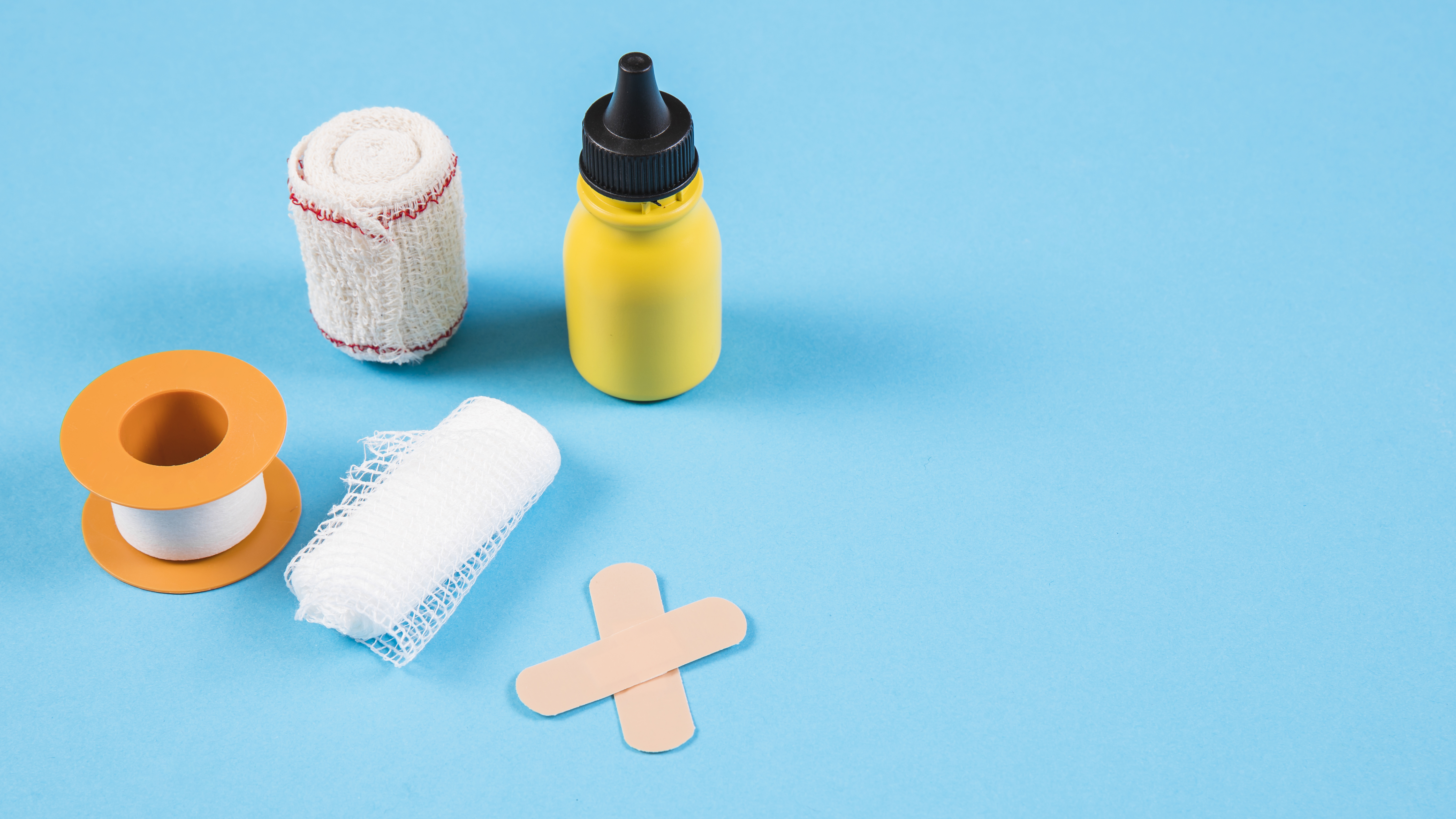 Primeros auxilios para perros en casa: consejos que todo dueño debe saber